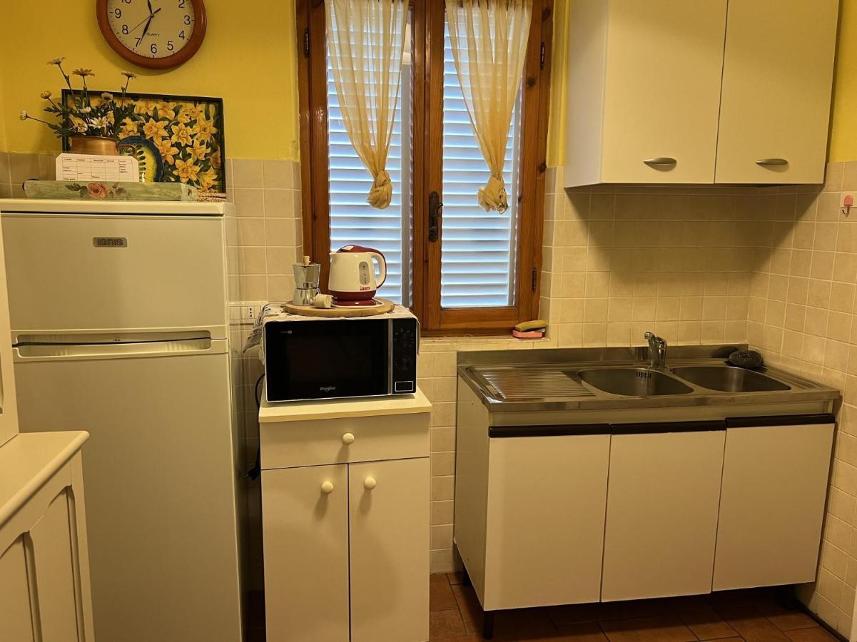 Alexa Apartment Viareggio